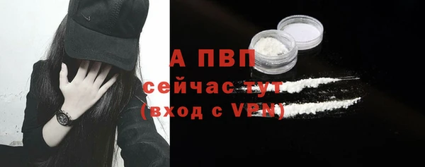 шишки Нея