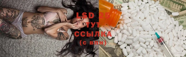 шишки Нея