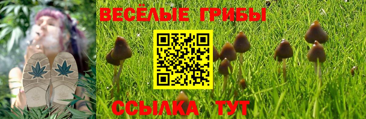 Псилоцибиновые грибы прущие грибы Нягань