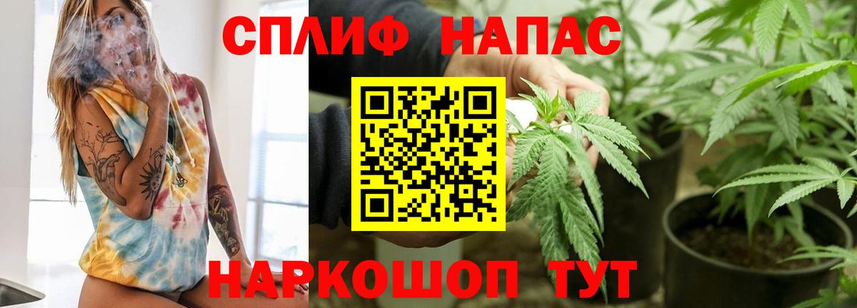 Конопля планчик Нягань
